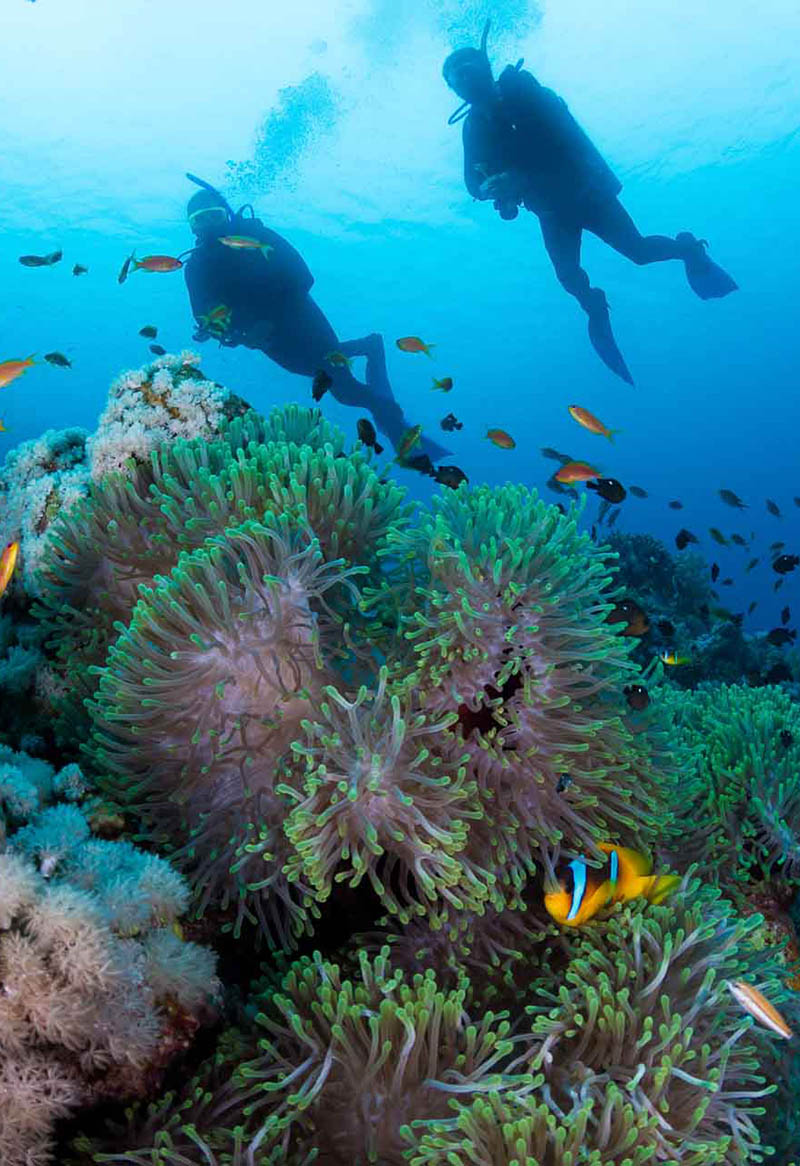 Padi Rescue Diver Fulidhoo Dive